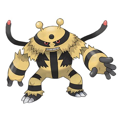 electivire stats|electivire estrategia.